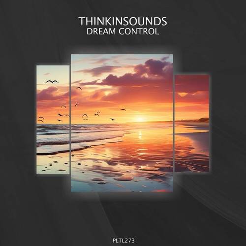 thinkinsounds - Dream Control [PLTL273]